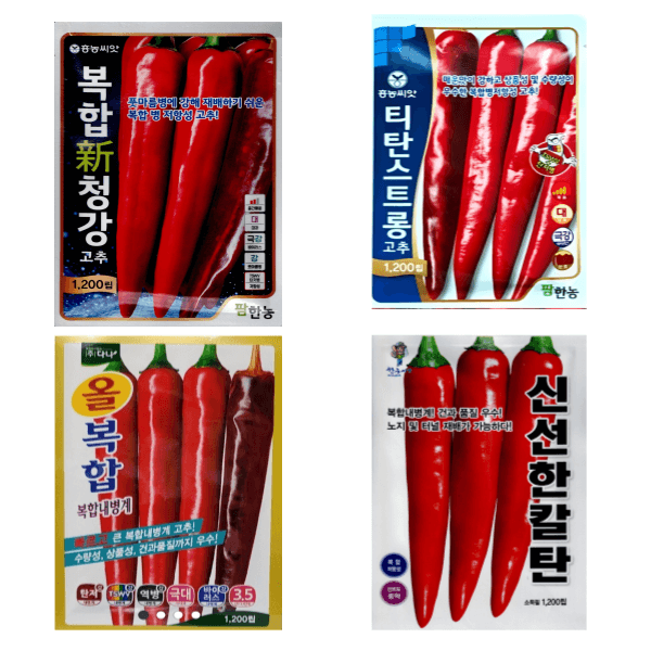 대산농사대장님의 장터 판매 상품 [25년 고추씨앗 32종 모음 고품종 복합내병계  탄저 병충해 강한품종 ] 첨부 사진