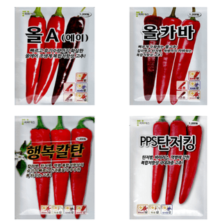 대산농사대장님의 작성글 사진