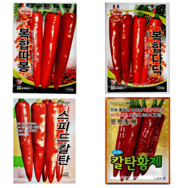 대산농사대장님의 장터 판매 상품 [25년 고추씨앗 32종 모음 고품종 복합내병계  탄저 병충해 강한품종 ] 첨부 사진