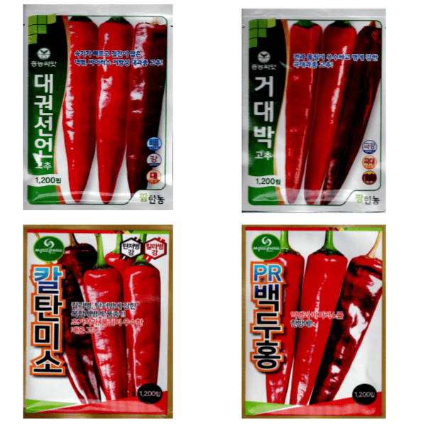 대산농사대장님의 장터 판매 상품 [25년 고추씨앗 32종 모음 고품종 복합내병계  탄저 병충해 강한품종 ] 첨부 사진