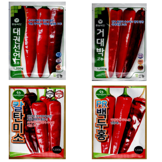 대산농사대장님의 작성글 사진