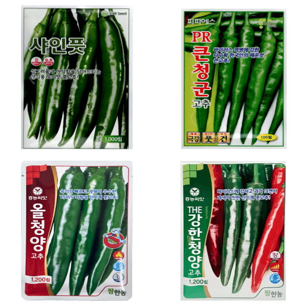 대산농사대장님의 장터 판매 상품 [25년 고추씨앗 32종 모음 고품종 복합내병계  탄저 병충해 강한품종 ] 첨부 사진
