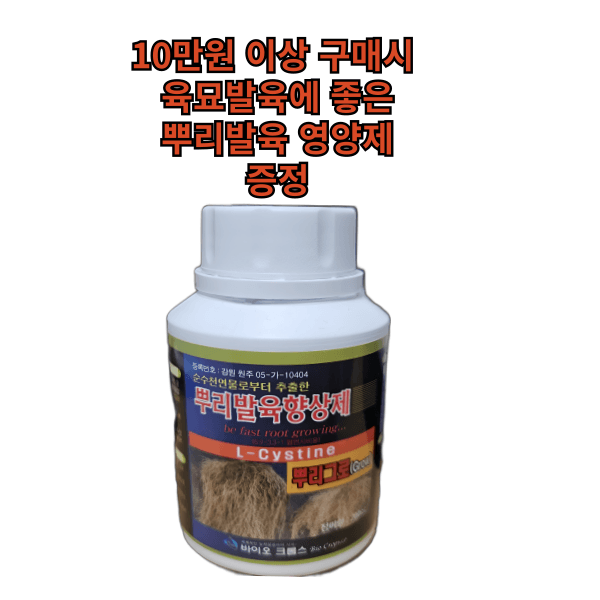 대산농사대장님의 장터 판매 상품 [25년 고추씨앗 32종 모음 고품종 복합내병계  탄저 병충해 강한품종 ] 첨부 사진