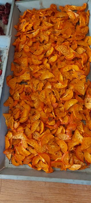 즐겁게 일하는조시형님의 기타작물 · 영농일지 작성글 사진