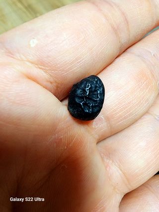 공실이님의 콩 · 영농일지 작성글 사진