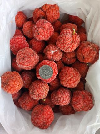 이형규님의 기타작물 · 영농일지 작성글 사진