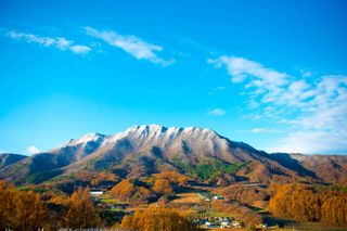 소와나무꾼님의 고추 · 일상 작성글 사진