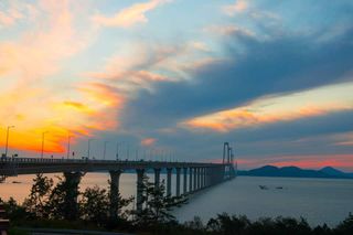 소와나무꾼님의 파 · 자유게시판 작성글 사진