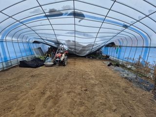 한상철님의 기타작물 · 영농일지 작성글 사진