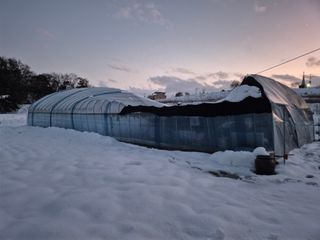 한상철님의 기타작물 · 영농일지 작성글 사진