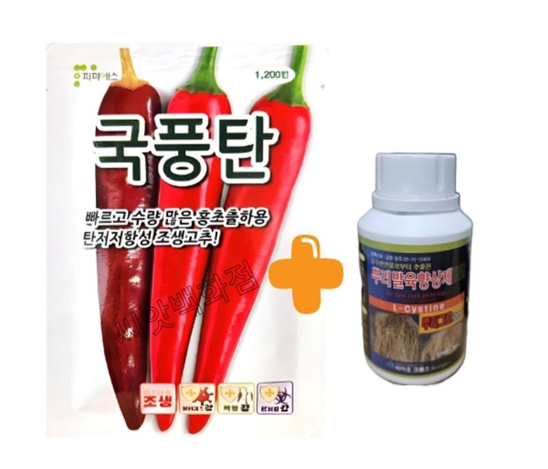 장터 상품 [25년 국풍탄 내병계 고추씨앗] 썸네일