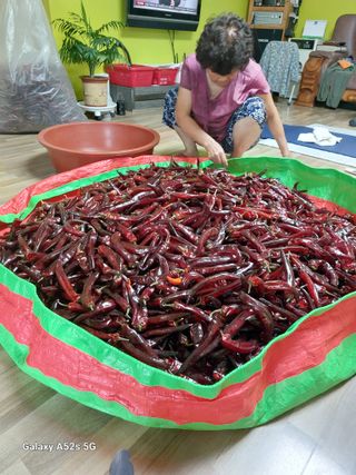 슬비농순이야님의 기타작물 · 영농일지 작성글 사진