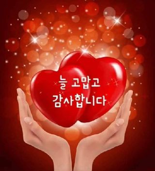 김동길님의 산삼을 갑자기 발견하게 된다면? · 참여글 작성글 사진