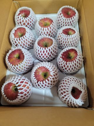 9930님의 농사, 무엇이든 물어보세요! · 참여글 작성글 사진