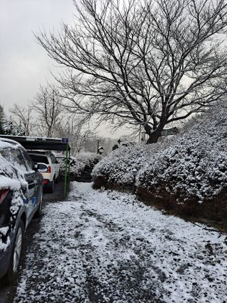 전병석님의 자유주제 · 자유게시판 작성글 사진