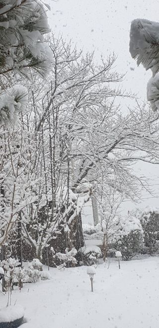 전병석님의 자유주제 · 자유게시판 작성글 사진
