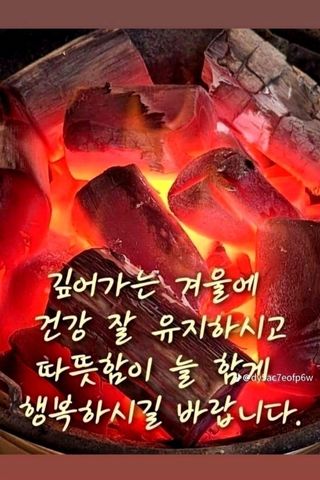 (팽나무*공주)님의 자유주제 · 자유게시판 작성글 사진