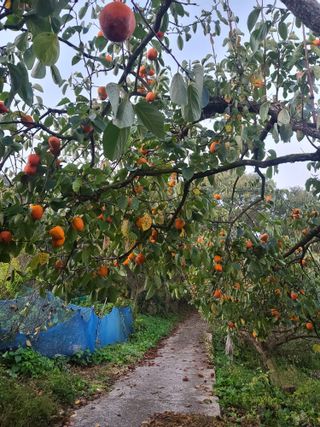 문남순님의 자유주제 · 자유게시판 작성글 사진