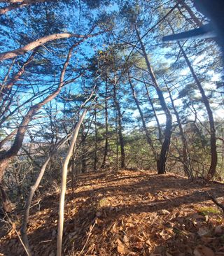 MSG0074님의 자유주제 · 자유게시판 작성글 사진