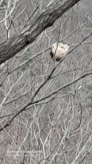 MSG0074님의 자유주제 · 자유게시판 작성글 사진