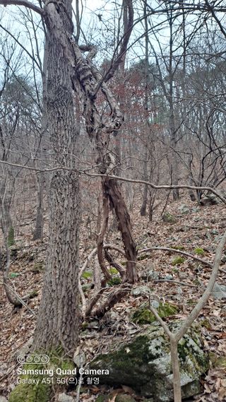 MSG0074님의 자유주제 · 자유게시판 작성글 사진