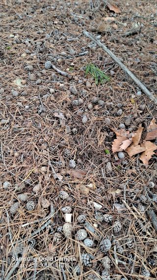 MSG0074님의 자유주제 · 자유게시판 작성글 사진