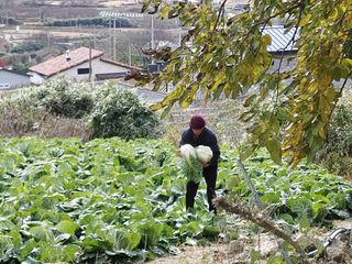 이현상님의 자유주제 · 자유게시판 작성글 사진
