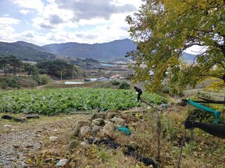 이현상님의 자유주제 · 자유게시판 작성글 사진
