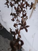 팜모닝 자유주제·자유게시판 게시글 이미지