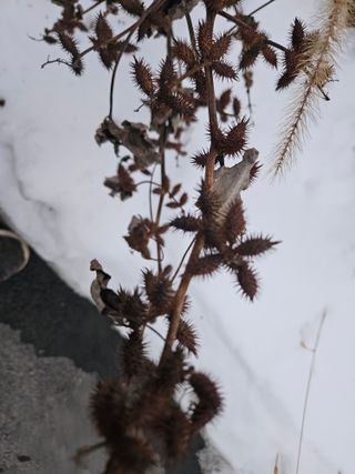 채경희님의 자유주제 · 자유게시판 작성글 사진