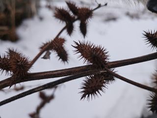 채경희님의 자유주제 · 자유게시판 작성글 사진