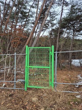 약초꾼님의 자유주제 · 자유게시판 작성글 사진