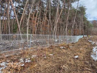 약초꾼님의 자유주제 · 자유게시판 작성글 사진