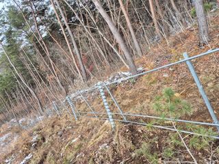 약초꾼님의 자유주제 · 자유게시판 작성글 사진