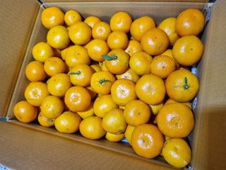 고석범님의 작성글 사진