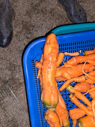 김광도님의 자유주제 · 자유게시판 작성글 사진