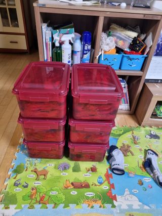 권오정님의 자유주제 · 자유게시판 작성글 사진