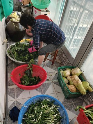 화성단삼님의 기타작물 · 영농일지 작성글 사진