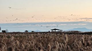 국중선님의 자유주제 · 자유게시판 작성글 사진