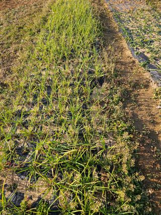 박세인님의 자유주제 · 자유게시판 작성글 사진