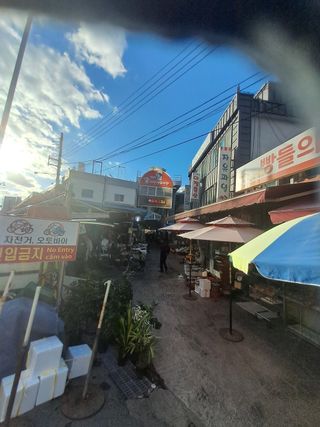 고산국토사랑풀뽑기님의 자유주제 · 자유게시판 작성글 사진