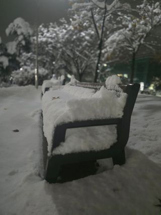 _귀촌예정님의 자유주제 · 자유게시판 작성글 사진