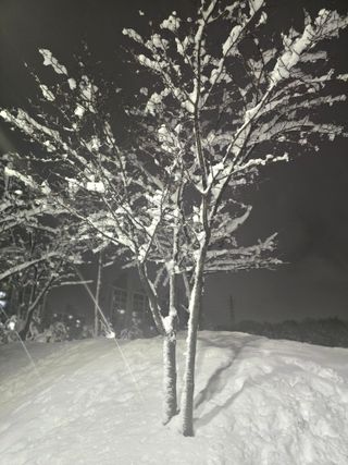 _귀촌예정님의 자유주제 · 자유게시판 작성글 사진