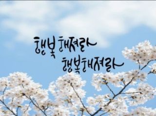 화려한이글님의 산삼을 갑자기 발견하게 된다면? · 참여글 작성글 사진