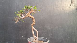 이정운님의 자유주제 · 자유게시판 작성글 사진