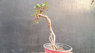 이정운님의 자유주제 · 자유게시판 작성글 사진