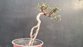 이정운님의 자유주제 · 자유게시판 작성글 사진