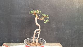 이정운님의 자유주제 · 자유게시판 작성글 사진