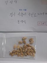 팜모닝 자유주제·자유게시판 게시글 이미지