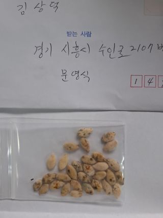 문영식님의 자유주제 · 자유게시판 작성글 사진